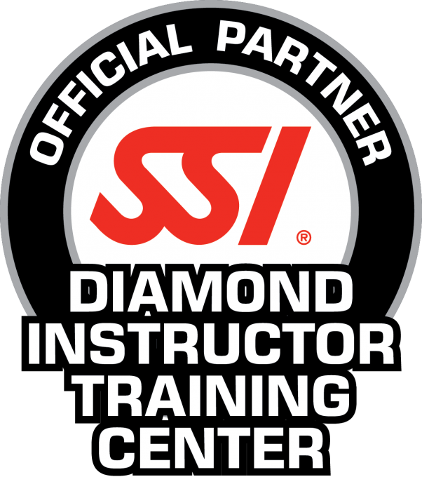 home_ssilogodiamondinsttrcenterrgbpng.png
